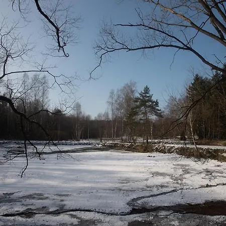 Wiesner's Teichwirtschaft 3*