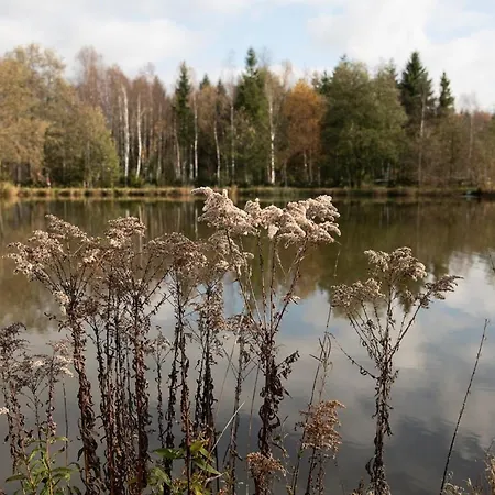 Wiesner's Teichwirtschaft Гостевой дом