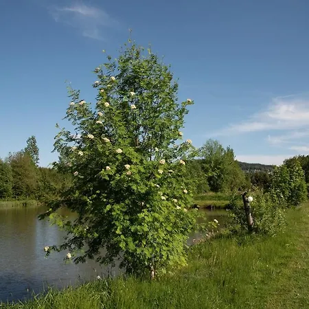 Wiesner's Teichwirtschaft Scheibenberg