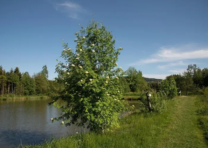 Wiesner's Teichwirtschaft Scheibenberg